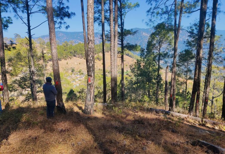 West Seti (Banlek)-Dododhara TLP